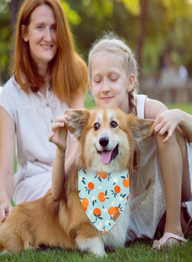 FYSUIMU 2Pcs Fruit Dog Bandana Strawberry Orange Triangle Pet Scarf Pink Blue Reversible Adjustable Pet Neckerchief Dog Bib for Medium Large Dog Cat Costume Accessories - Image 5